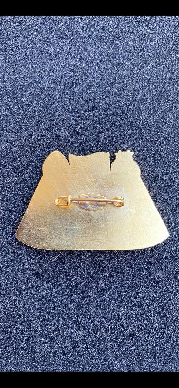 Украинские клубы в еврокубках 2010-2011 1