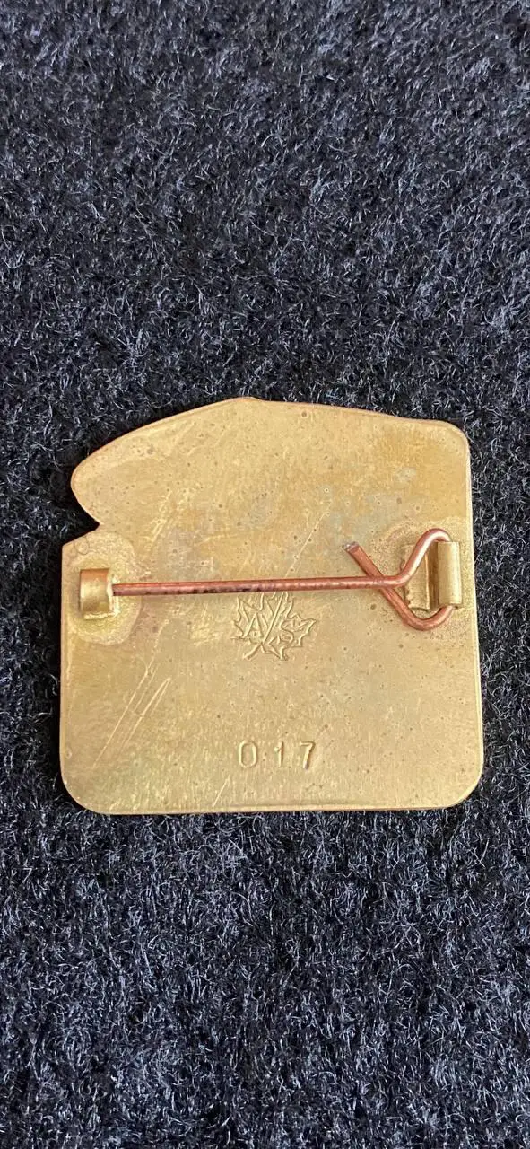 Маккаби Динамо лига чемпионов 1