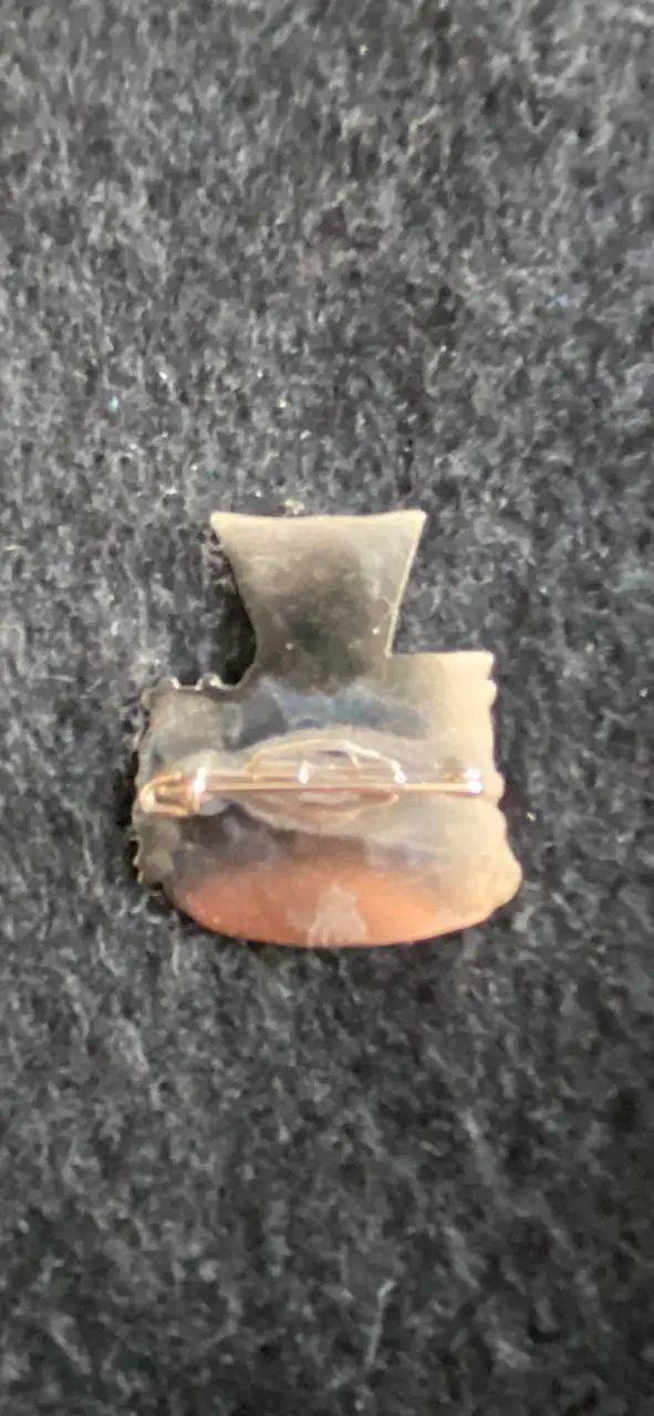 Легия Манчестер сити 1