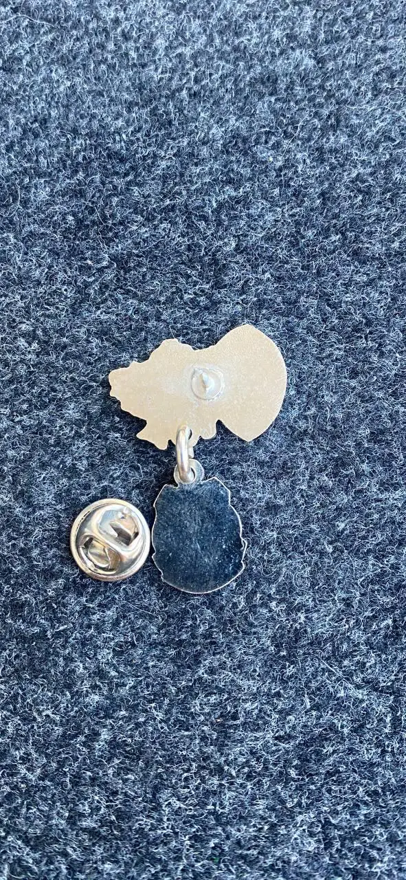 Шахтёр-Черноморец. 1