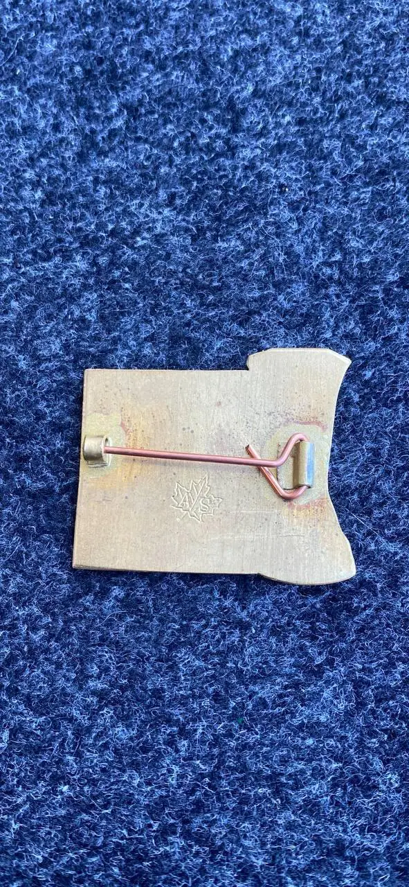 ..Шахтёр-Виктория Пльзень... . . .. 1