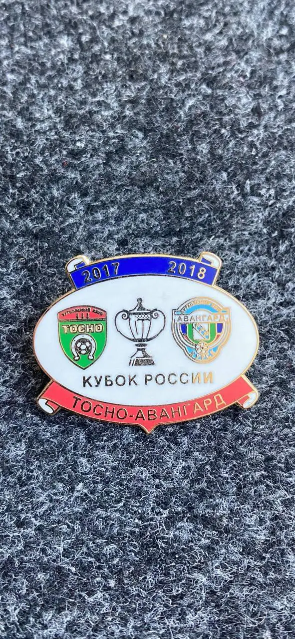 ....Тосно-Авангард Курск. Финал кубка России.......