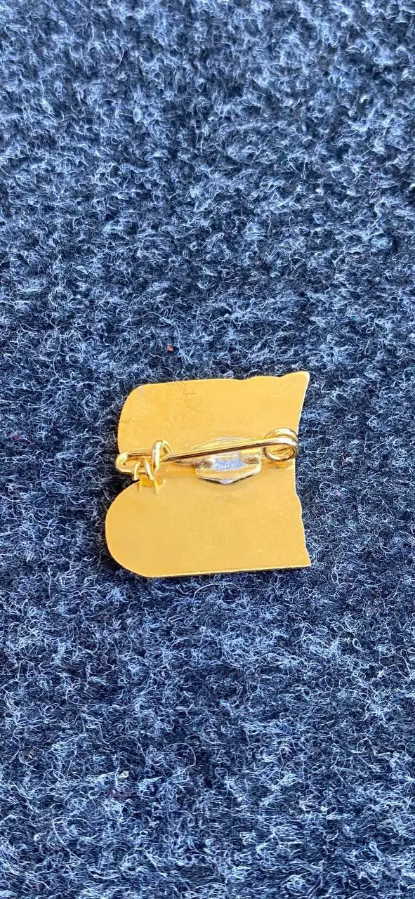 …. . Заря-Фейеноорд.. ..… .. 1