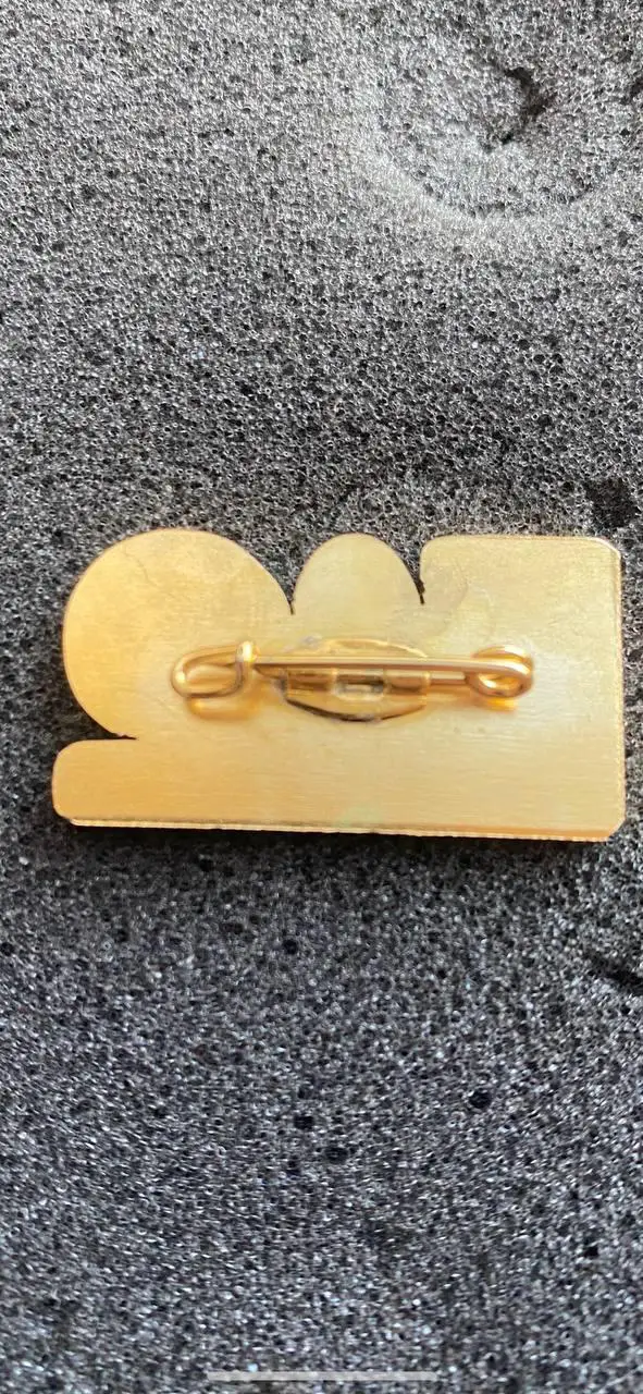 … Заря-Фейеноорд .... 1