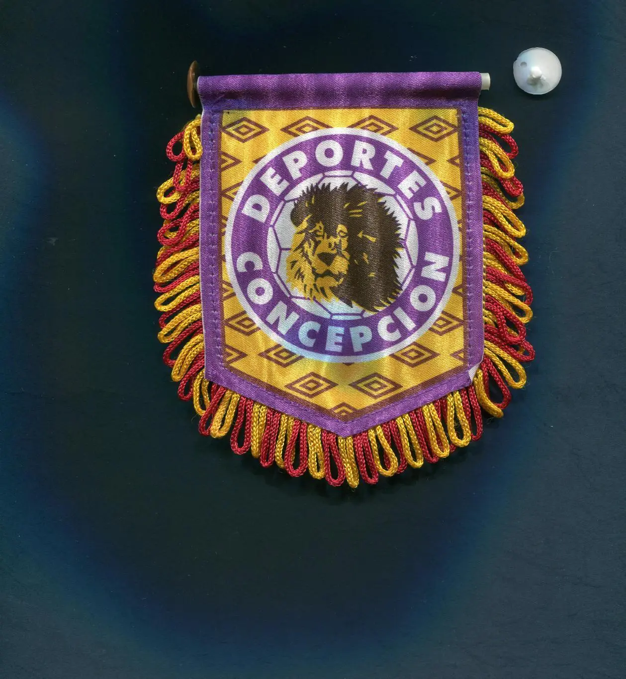 ФУТБОЛЬНЫЙ КЛУБ (ФК)ДЕПОРТЕС КОНСЕПСЬОН(КОНСЕПСЬОН,ЧИЛИ)