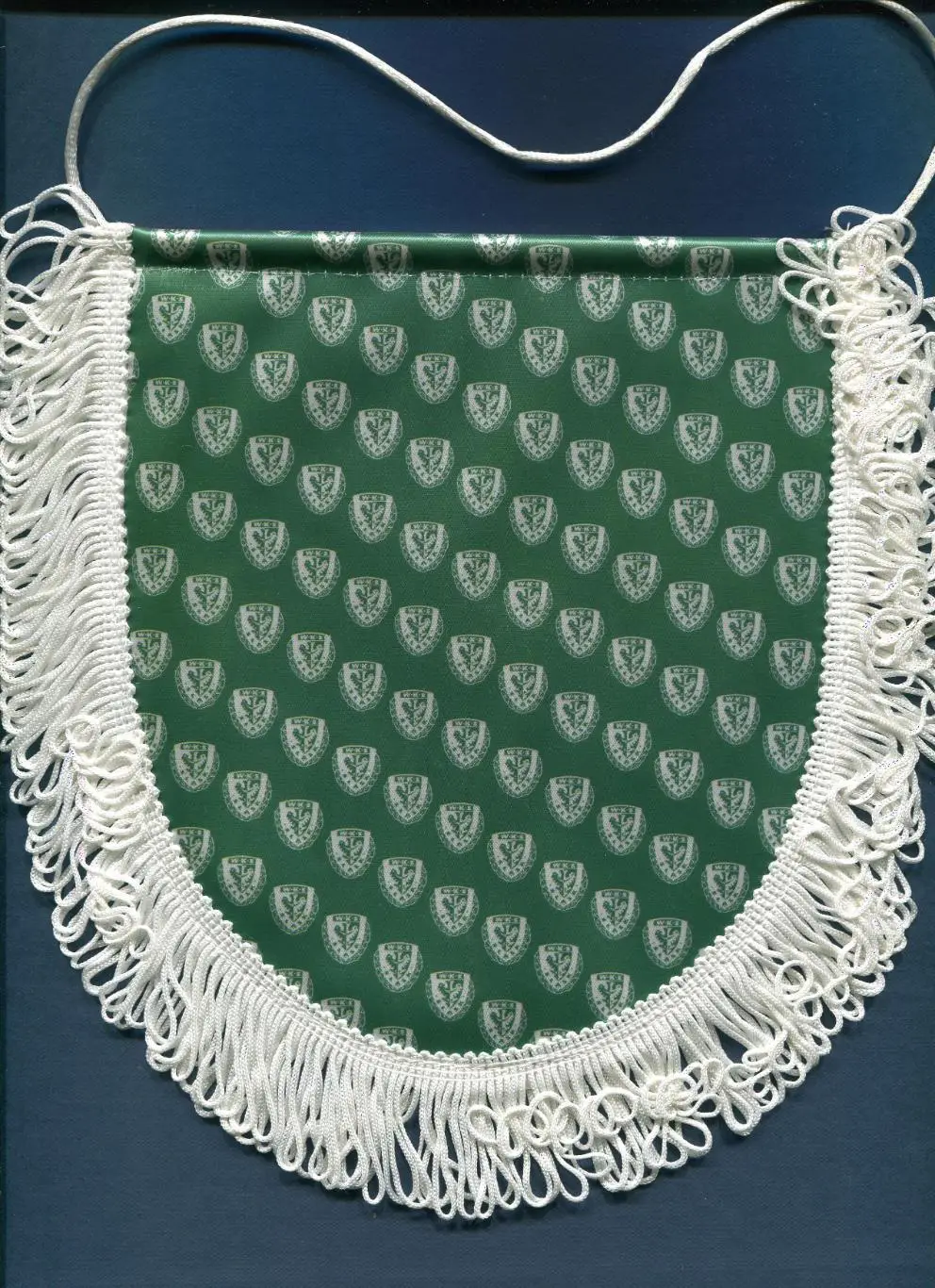 ФУТБОЛЬНЫЙ КЛУБ (ФК) ШЛЕНСК (ВРОЦЛАВ) ПОЛЬША 17х20 1