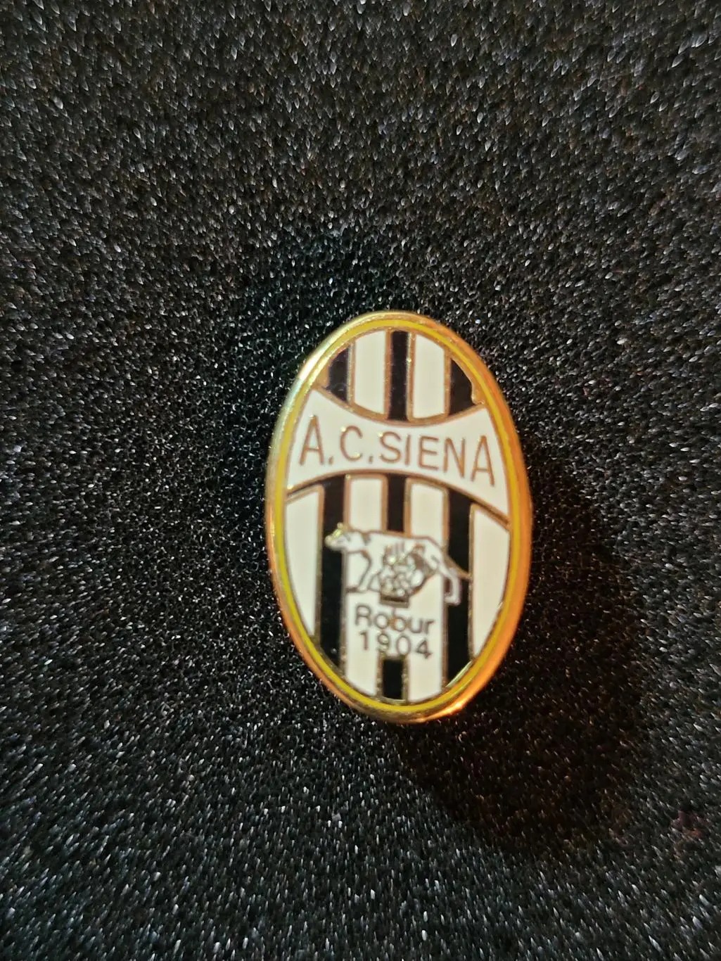 ФУТБОЛЬНЫЙ КЛУБ (ФК) СИЕНА ИТАЛИЯ
