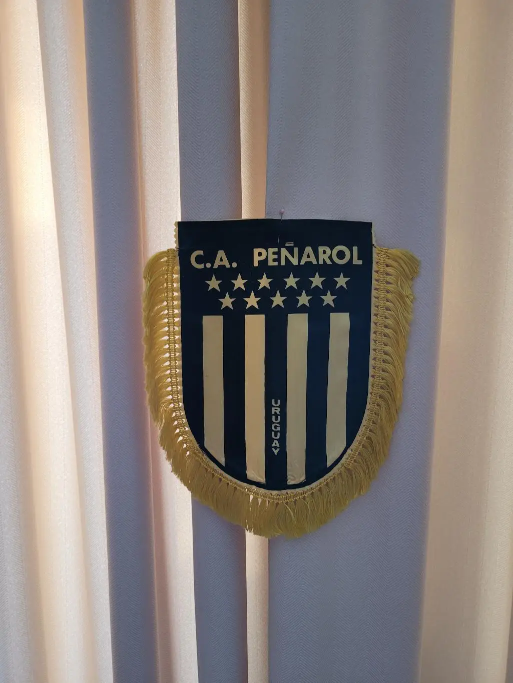 ФУТБОЛЬНЫЙ КЛУБ (ФК) ПЕНЬЯРОЛЬ (МОНТЕВИДЕО) УРУГВАЙ 17х24