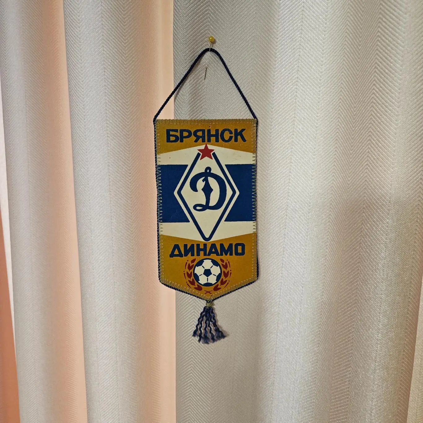 ФУТБОЛЬНЫЙ КЛУБ (ФК) ДИНАМО (БРЯНСК)