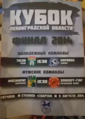 Кубок Ленинградской области. Финал-2014. 09.08.2014. Официальная программа
