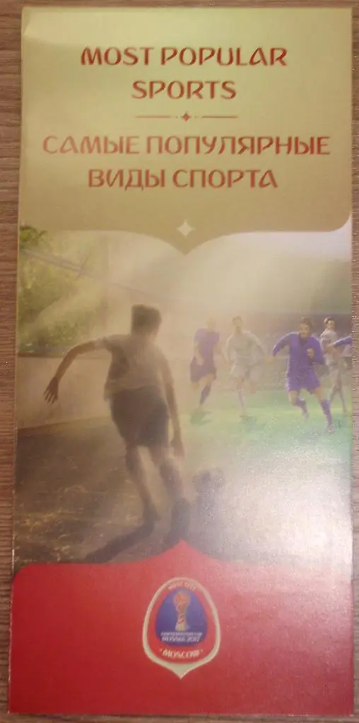 Кубок Конфедераций-2017. Буклет. Самые популярные виды спорта.