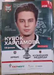 ирбис казань-кузнецкие медведи новокузнецк 2024/2025