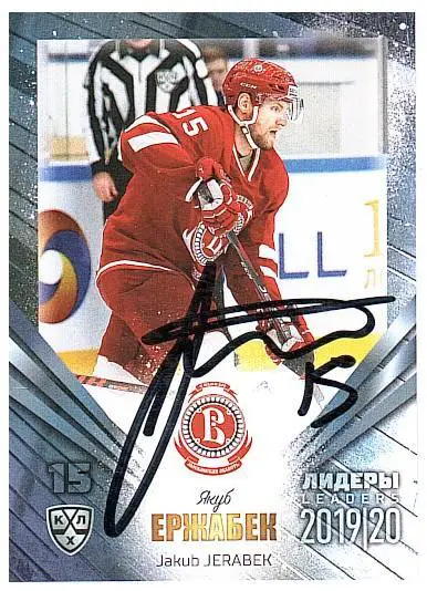 Якуб Ержабек Витязь