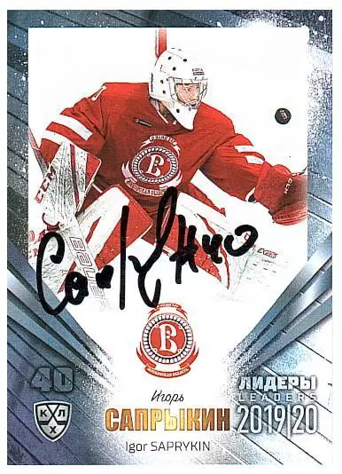 Игорь Сапрыкин Витязь