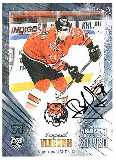 Владислав Ушенин Амур