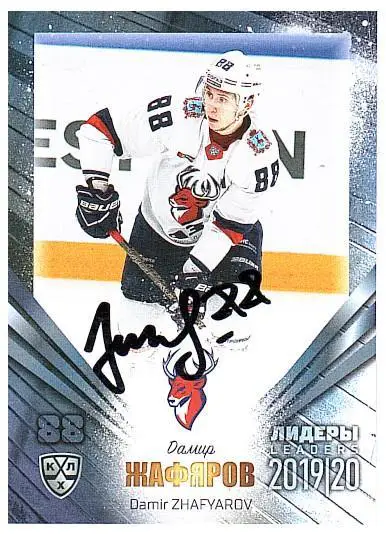 Дамир Жафяров Торпедо