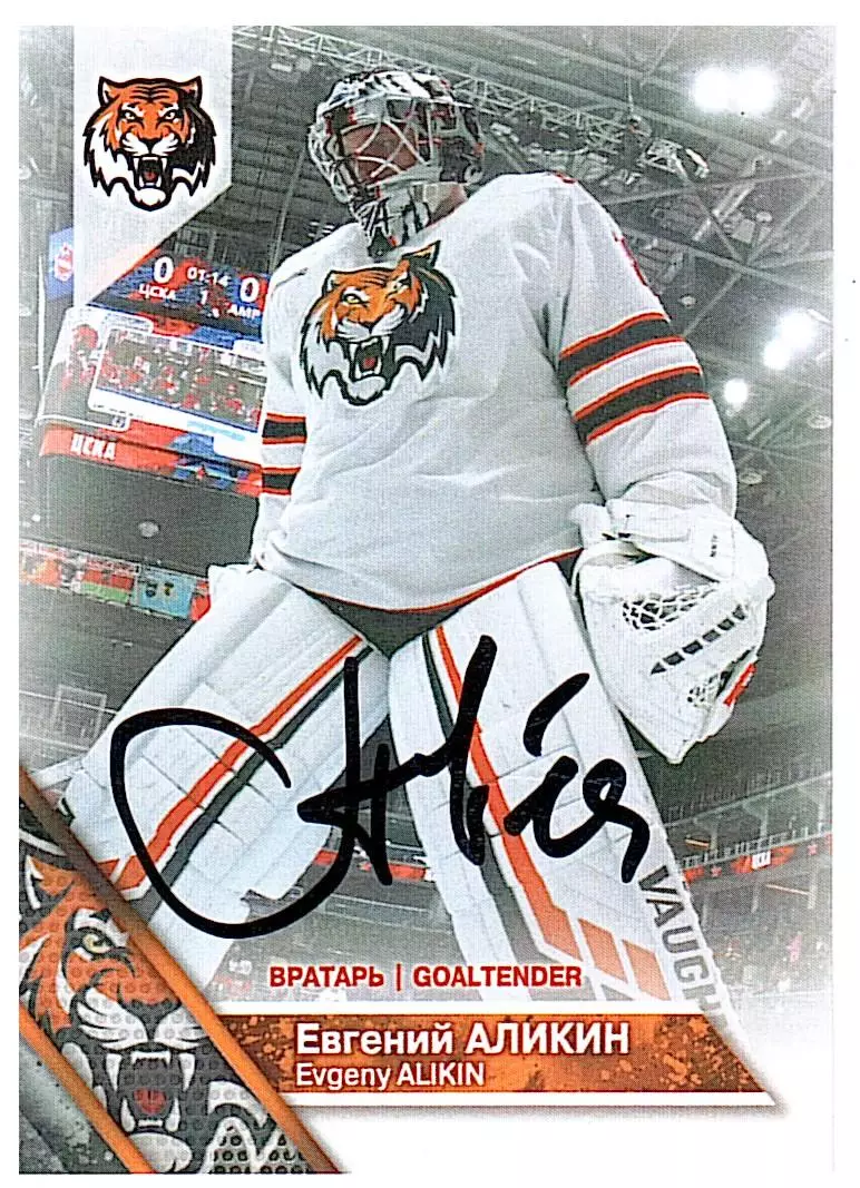 Евгений Аликин Амур 1 PROMO