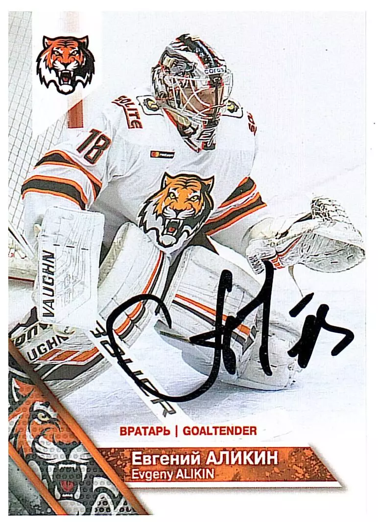 Евгений Аликин Амур 2 PROMO