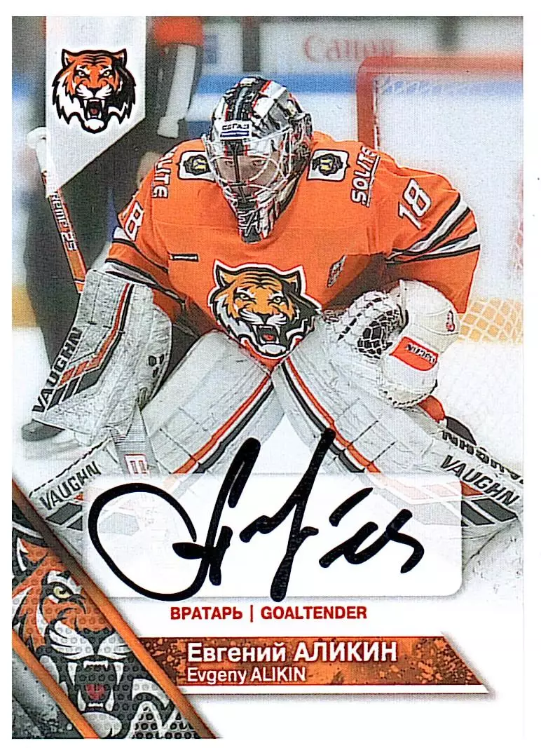 Евгений Аликин Амур 3 PROMO