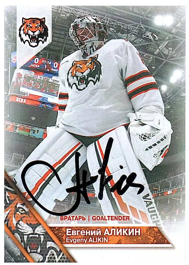 Евгений Аликин Амур 1 PROMO