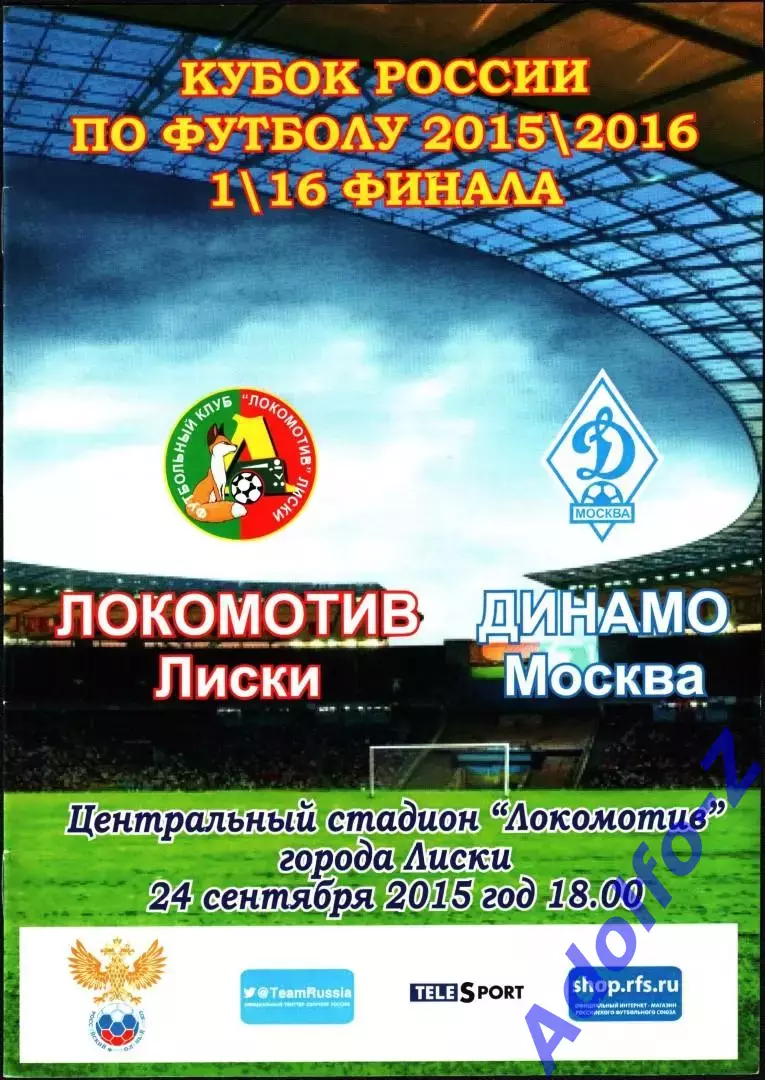 2015/2016. Локомотив Лиски - Динамо Москва. Кубок России 1/16 финала 3 вид