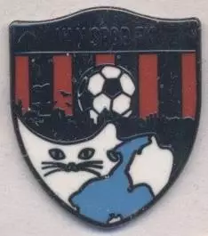 футбол.клуб Ванспор (Туреччина) ЕМАЛЬ / Van SK, Turkey football enamel pin badge