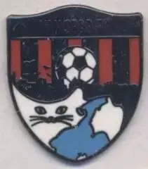 футбол.клуб Ванспор (Туреччина) ЕМАЛЬ / Van SK, Turkey football enamel pin badge