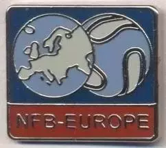 Європа(не-ФІФА) конфед.футболу, ЕМАЛЬ/NF-Board Europe football confederation pin