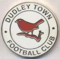 футбол.клуб Дадлі Таун (Англія) ЕМАЛЬ /Dudley Town FC,England football pin badge