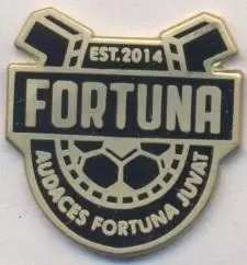 футбол.клуб Фортуна Баку (Азербайджан ЕМАЛЬ/Fortuna Baku,Azerbaijan football pin