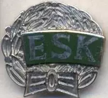футбол.клуб Енчьопінг (Швеція) ЕМАЛЬ / Enkopings SK FK,Sweden football pin badge