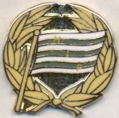 футбольний клуб Хаммарбю (Швеція) ЕМАЛЬ/Hammarby IF FF,Sweden football pin badge