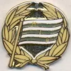 футбольний клуб Хаммарбю (Швеція) ЕМАЛЬ/Hammarby IF FF,Sweden football pin badge