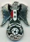 Сирія, федерація футболу, №1, ЕМАЛЬ / Syria football federation enamel pin badge