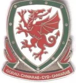 Уельс, федерація футболу, №1, ЕМАЛЬ / Wales football federation enamel pin badge