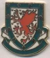 Уельс, федерація футболу, №4, ЕМАЛЬ / Wales football federation enamel pin badge