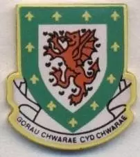 Уельс, федерація футболу, офіц.1 важмет / Wales football federation pin badge