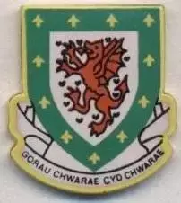 Уельс, федерація футболу, офіц.1 важмет / Wales football federation pin badge