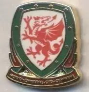 Уельс, федерація футболу,офіц.2 ЕМАЛЬ/Wales football federation enamel pin badge