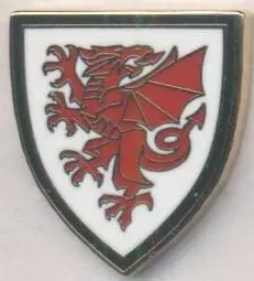 Уельс, федерація футболу, №6, ЕМАЛЬ / Wales football federation enamel pin badge