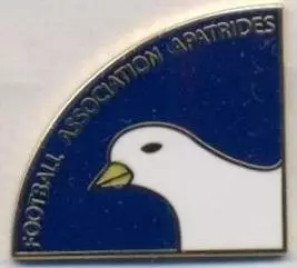 Апатріди,федер.футболу (не-ФІФА) ЕМАЛЬ/Apatrid-Stateless football federation pin
