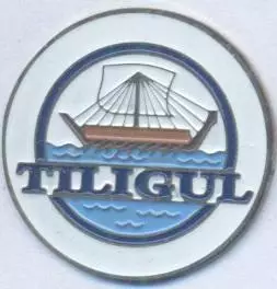 футбол.клуб Тилігул Тирасполь (Молдова) важмет/FC Tiligul,Moldova football badge