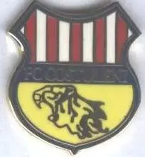 футбол.клуб Костулень (Молдова) ЕМАЛЬ / FC Costuleni, Moldova football pin badge