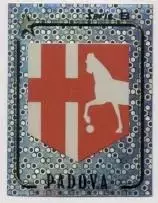 наклейка люмінесцентна футбол Падова (Італія) / Calcio Padova,Italy logo sticker