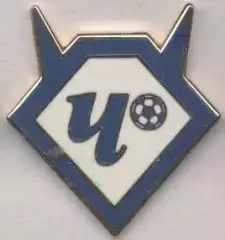 футбол.клуб Чертаново Мос.(Рос.)2 ЕМАЛЬ / Chertanovo Mos.,Rus.football pin badge
