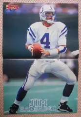 постер А3 американський футбол Jim Harbaugh, American football player poster