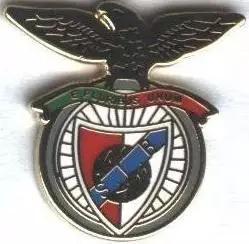 футбол.клуб Бенфіка (Португалія)1 ЕМАЛЬ / SL Benfica,Portugal football pin badge