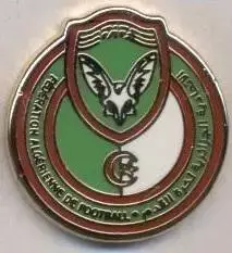 Алжир, федерація футболу,№5 ЕМАЛЬ / Algeria football federation enamel pin badge
