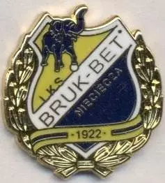 футбол.клуб Термаліка (Польща)2 ЕМАЛЬ / Termalica Nieciecza, Poland football pin