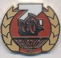 футбол.клуб Зніч Прушкув (Польща) ЕМАЛЬ/Znicz Pruszkow,Poland football pin badge